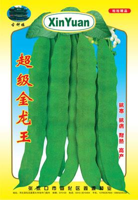 超级金龙王——架豆